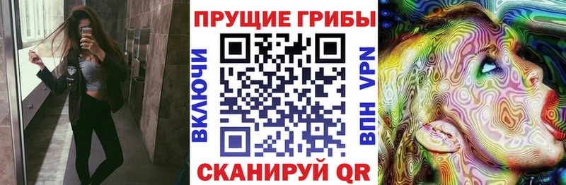Псилоцибиновые грибы мухоморы  закладка  Углич 